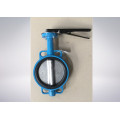 Butterfly Valve for Paper and Pulp Industrial